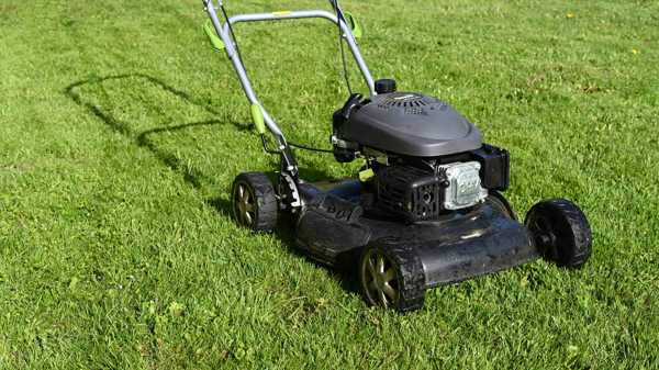 How to Choose Lawn Mower Oil: Keep Your Mower Purring