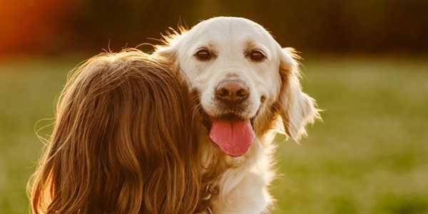 How To Get Rid Of Fleas On Dogs​